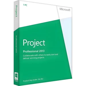 Project 2013