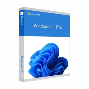 Windows 11 Pro