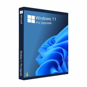 Windows 11 Pro Upgrade